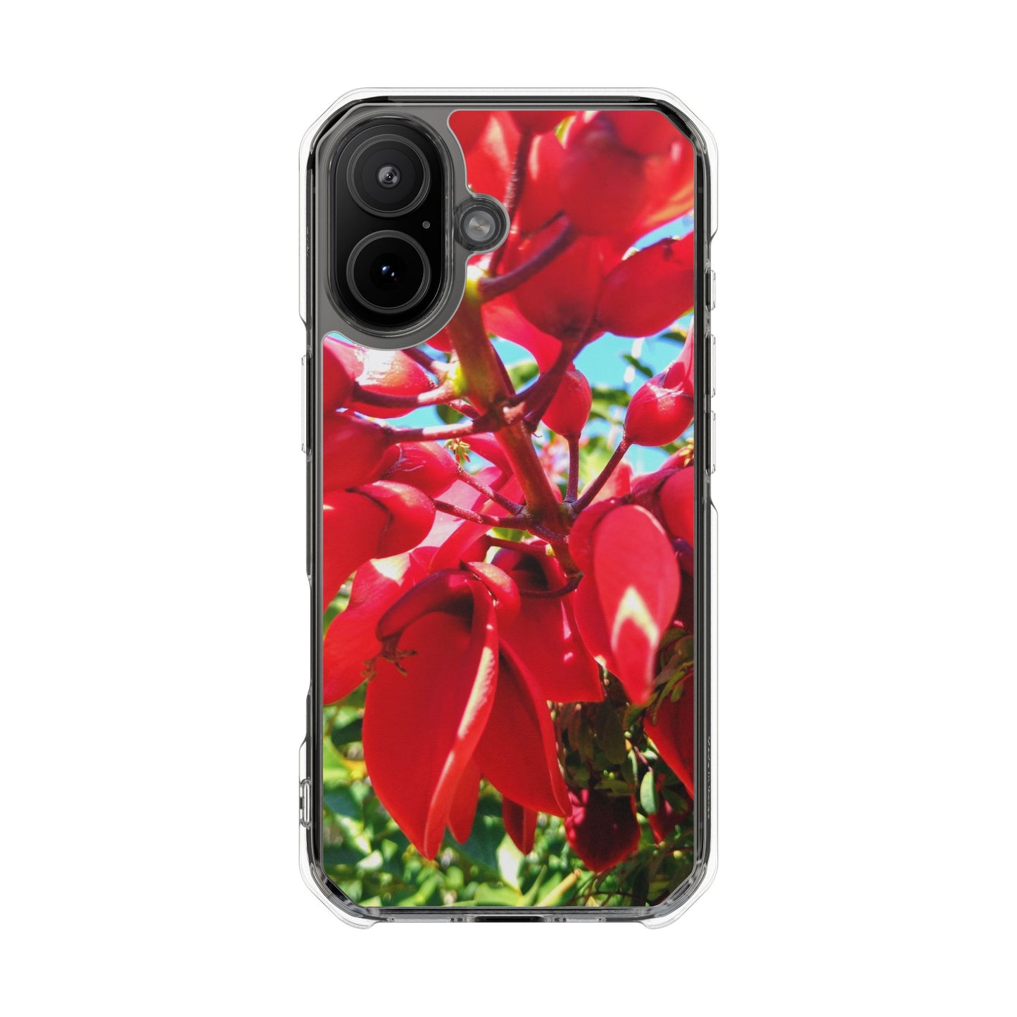Red Cockspur Tree iPhone 17 Case | MagSafe Clear Magnetic Impact Cover