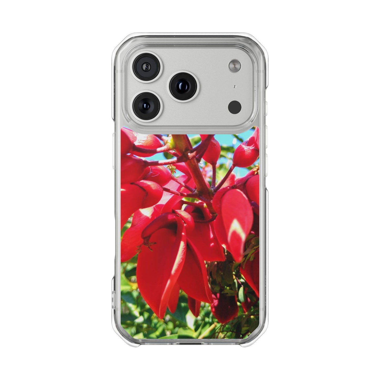 Red Cockspur Tree iPhone 17 Pro Case | MagSafe Clear Magnetic Impact Cover