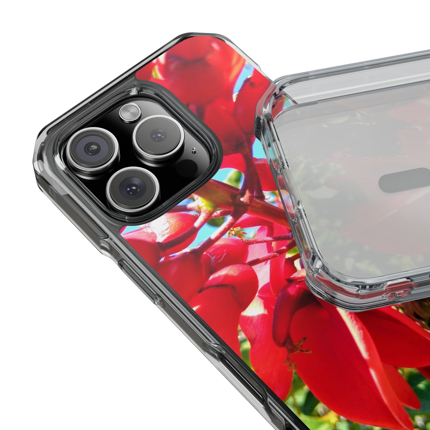 Red Cockspur Tree iPhone 16 Pro Case | MagSafe Clear Magnetic Impact Cover