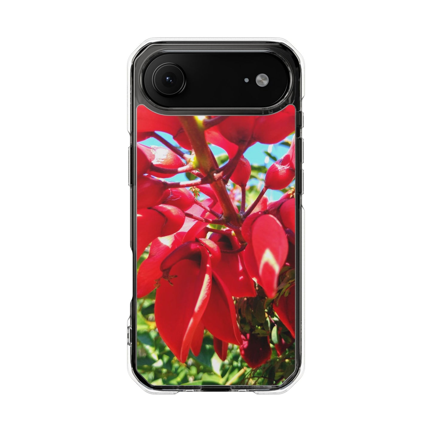 Red Cockspur Tree iPhone 17 Air Case | MagSafe Clear Magnetic Impact Cover
