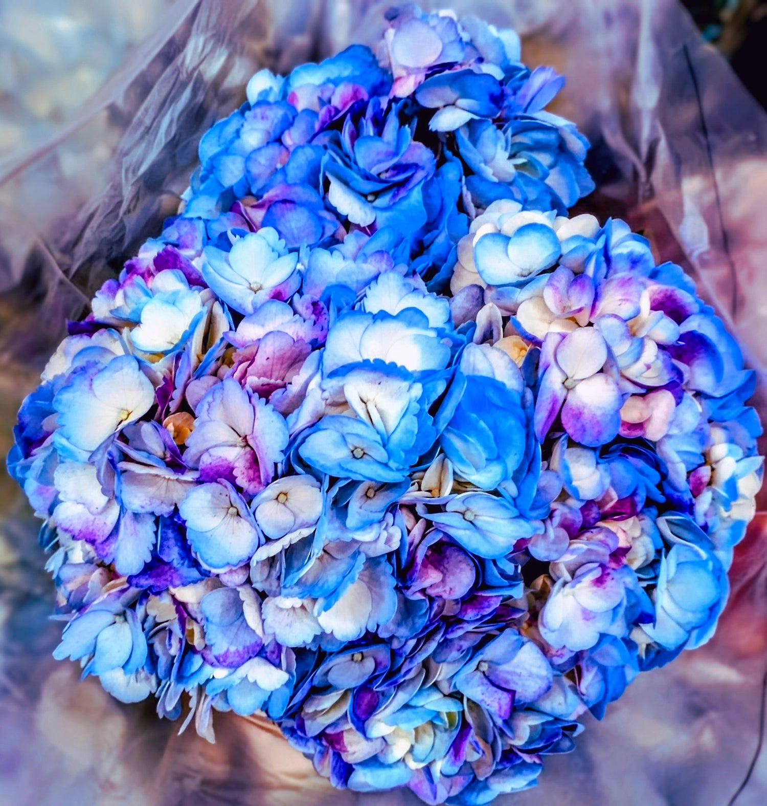Vibrant Blue Hydrangea Bouquet