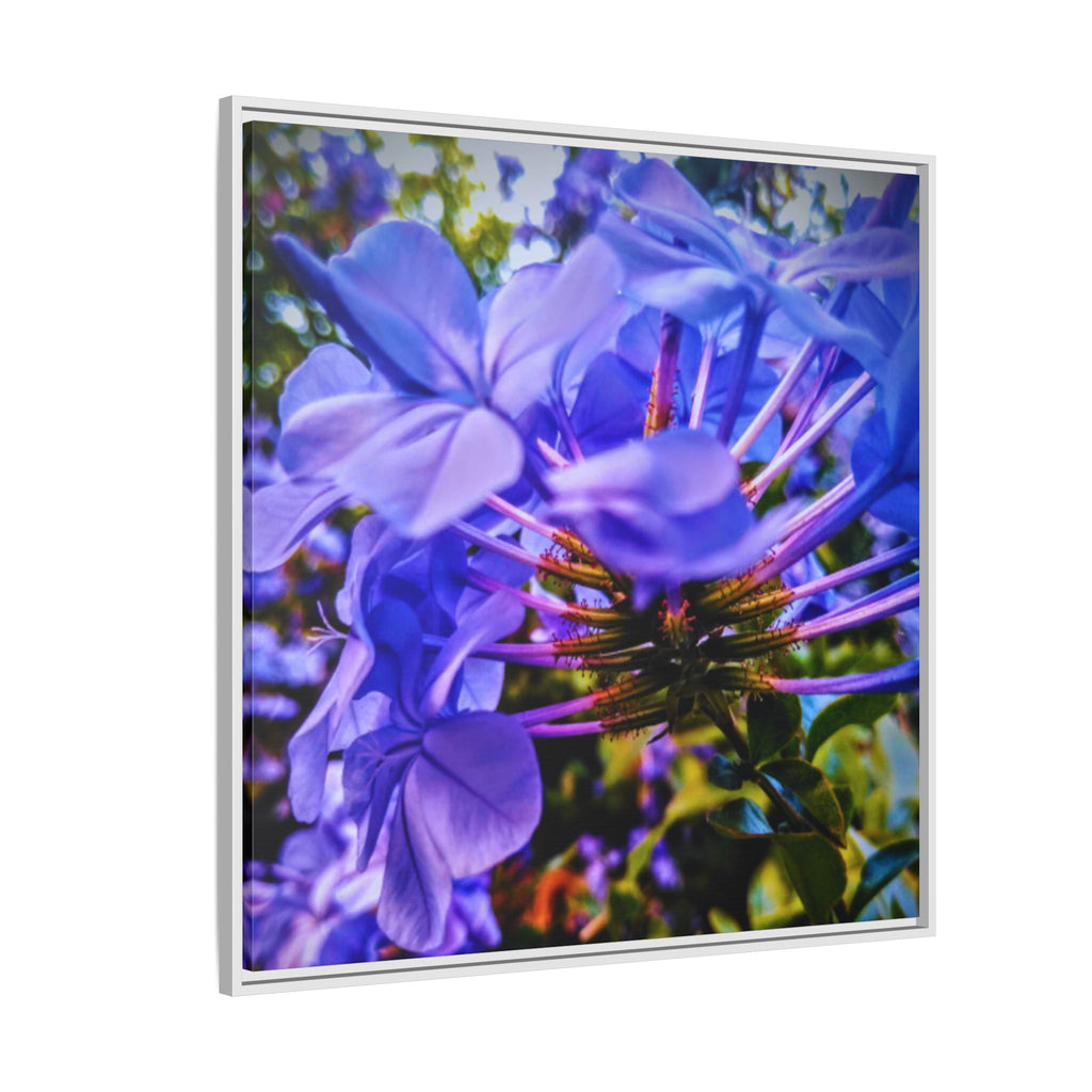 Blue Hydrangea Stem Matte Canvas Wall Art — Vibrant Close-Up Botanical Floral Print