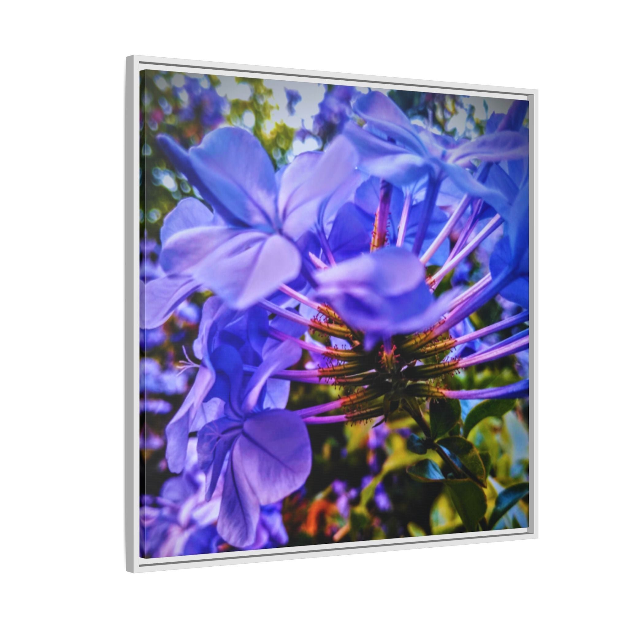 Blue Hydrangea Stem Matte Canvas Wall Art — Vibrant Close-Up Botanical Floral Print