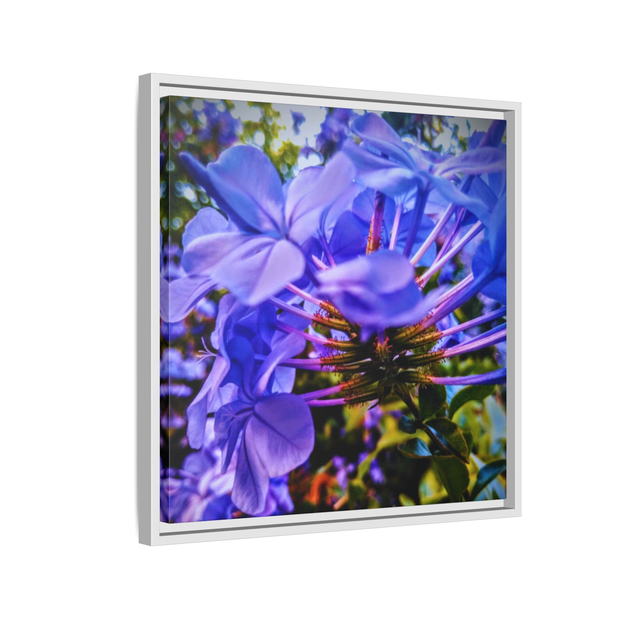Blue Hydrangea Stem Matte Canvas Wall Art — Vibrant Close-Up Botanical Floral Print