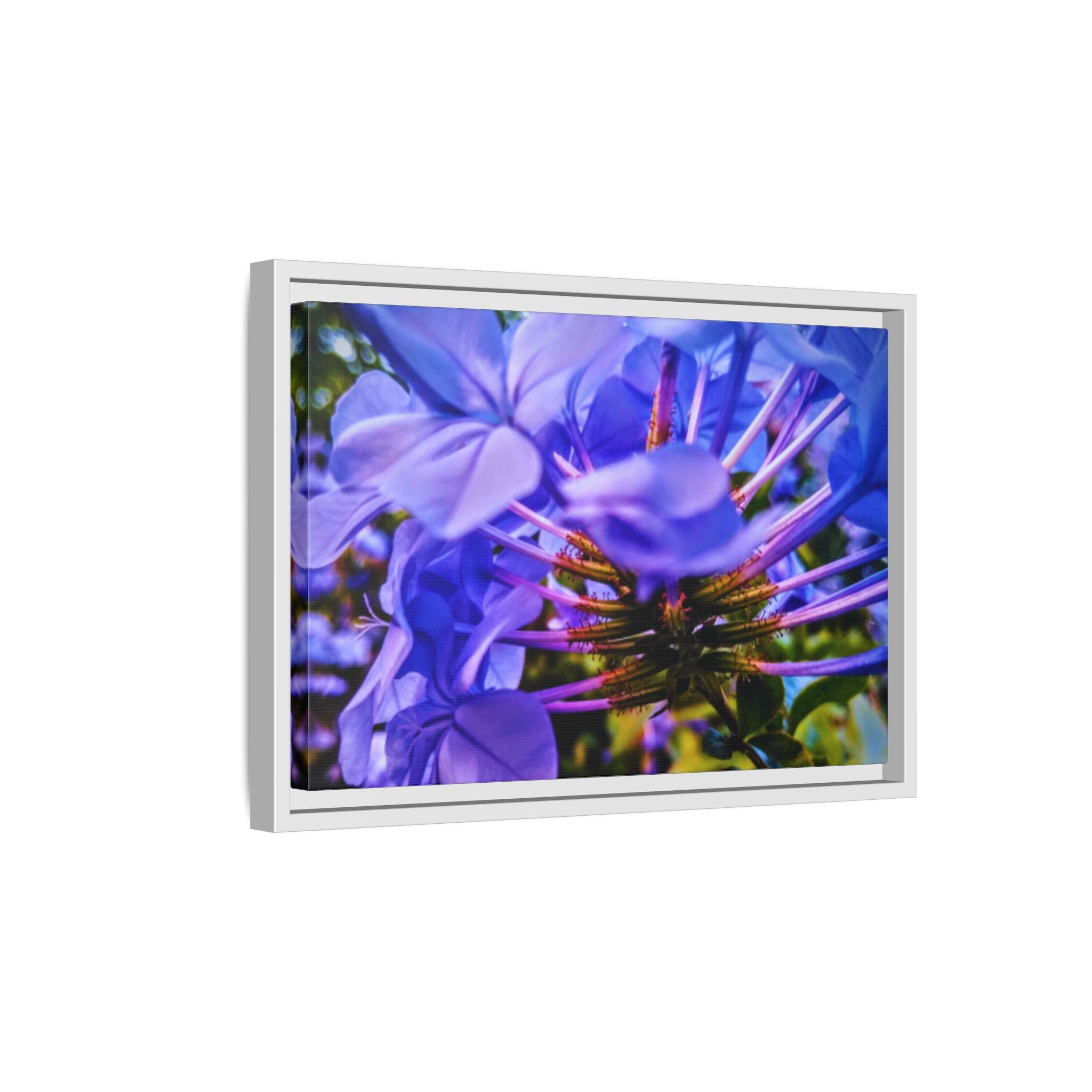 Blue Hydrangea Stem Matte Canvas Wall Art — Vibrant Close-Up Botanical Floral Print