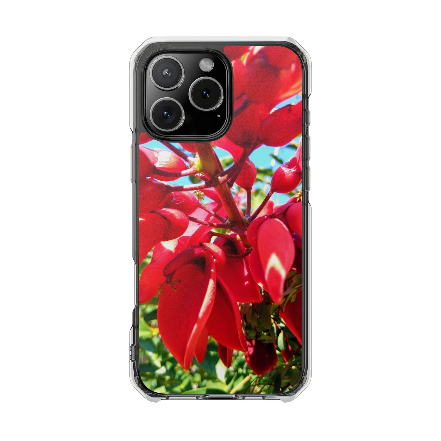 Red Cockspur Tree iPhone 16 Pro Max Case | MagSafe Clear Magnetic Impact Cover