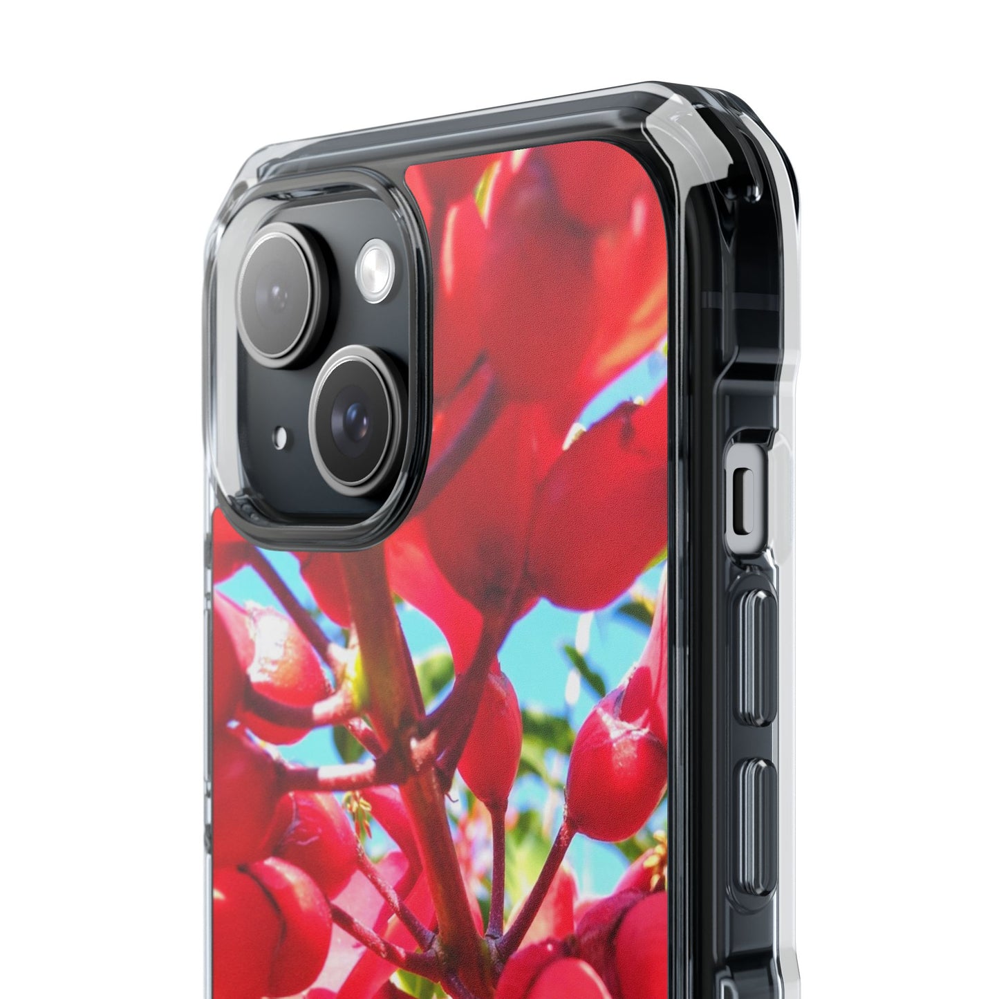 Red Cockspur Tree iPhone 15 Case | MagSafe Clear Magnetic Impact Cover