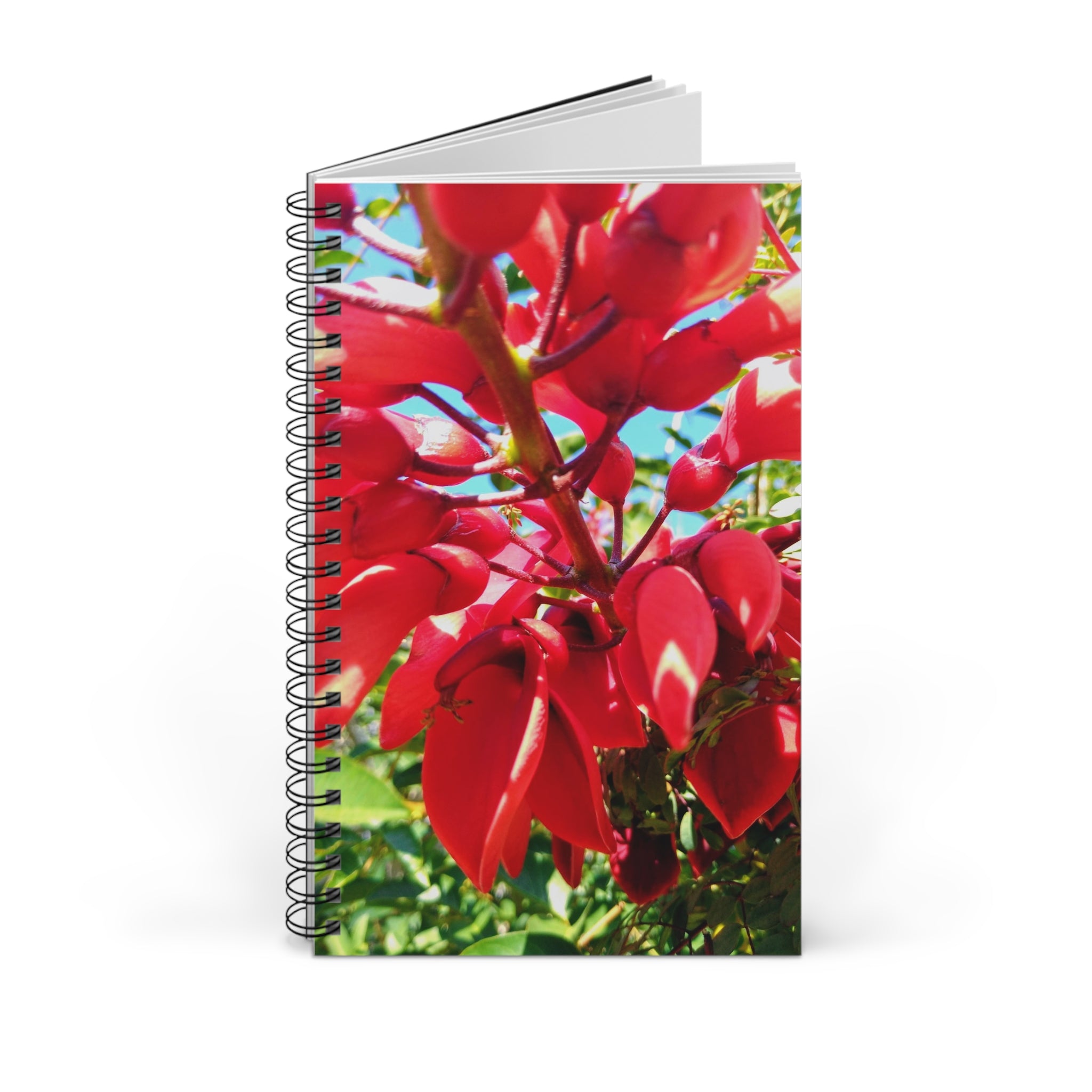 Red Cockspur Coral Tree Tropical Flower Spiral Journal — Botanical Notebook for Notes & Daily Writing