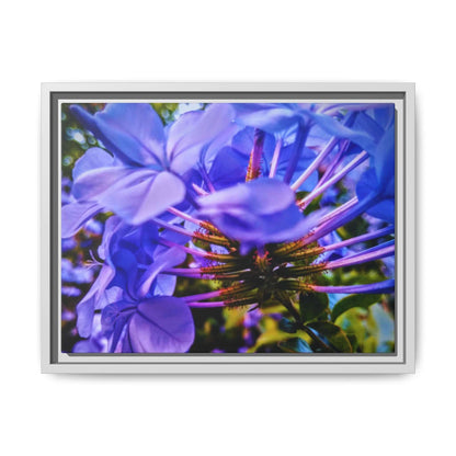 Blue Hydrangea Stem Matte Canvas Wall Art — Vibrant Close-Up Botanical Floral Print