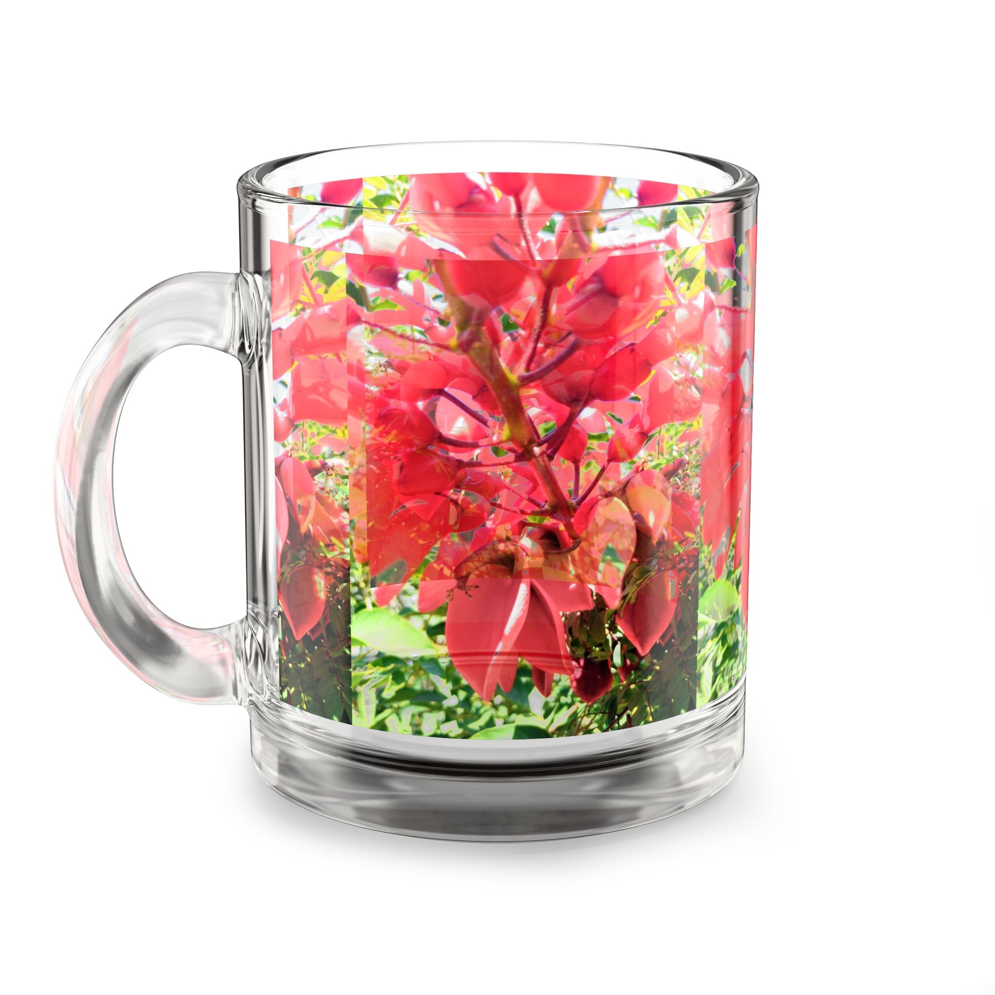 Red Cockspur Coral Tree Glass Mug — 10oz Botanical Coffee Cup