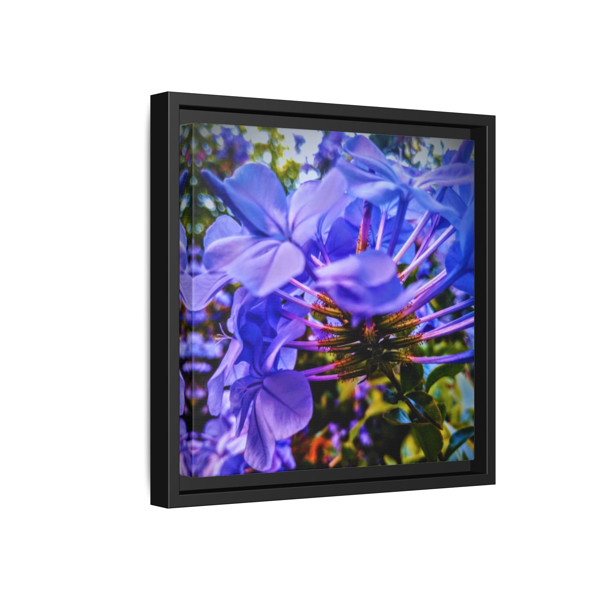 Blue Hydrangea Stem Matte Canvas Wall Art — Vibrant Close-Up Botanical Floral Print