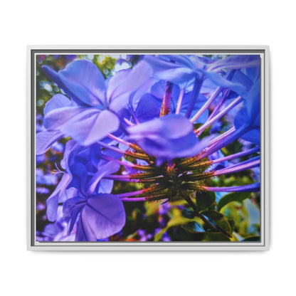 Blue Hydrangea Stem Matte Canvas Wall Art — Vibrant Close-Up Botanical Floral Print