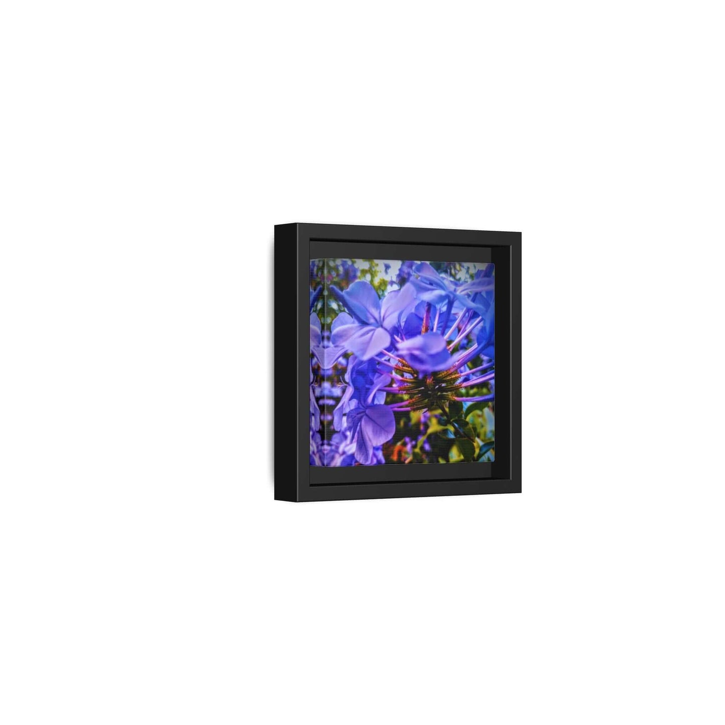 Blue Hydrangea Stem Canvas Wall Art