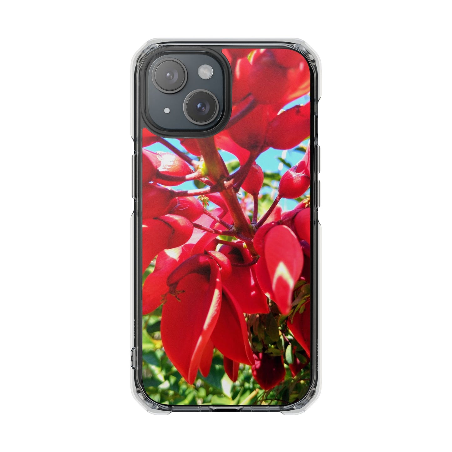 Red Cockspur Tree iPhone 15 Case | MagSafe Clear Magnetic Impact Cover