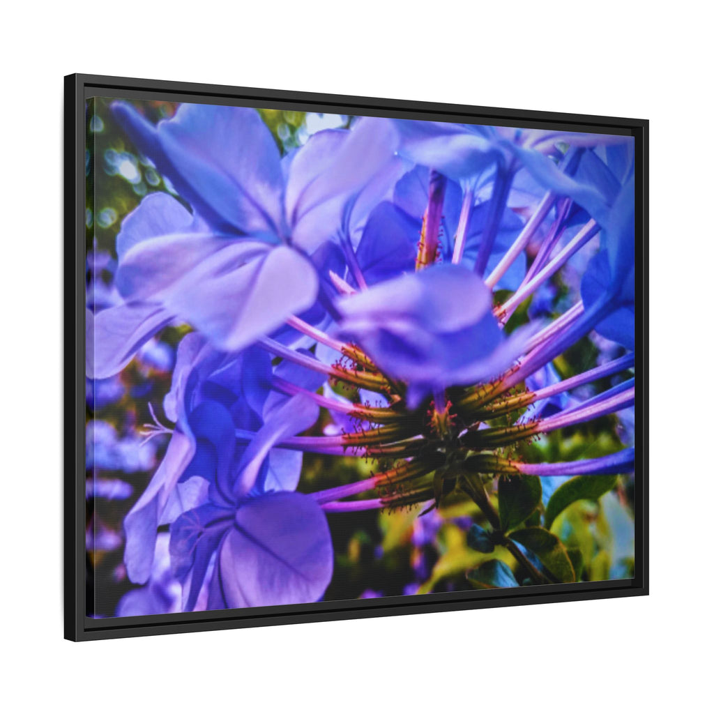 Blue Hydrangea Stem Matte Canvas Wall Art — Vibrant Close-Up Botanical Floral Print