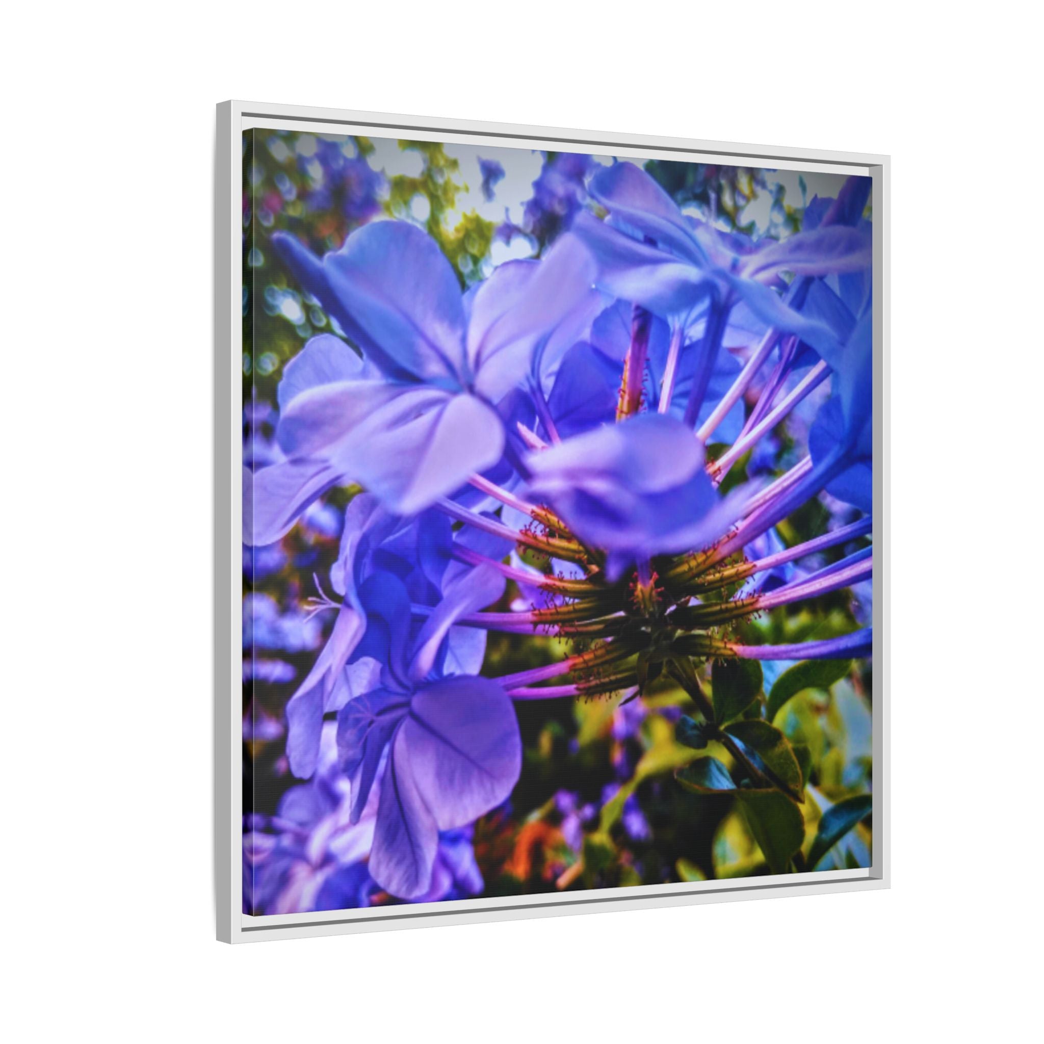 Blue Hydrangea Stem Matte Canvas Wall Art — Vibrant Close-Up Botanical Floral Print