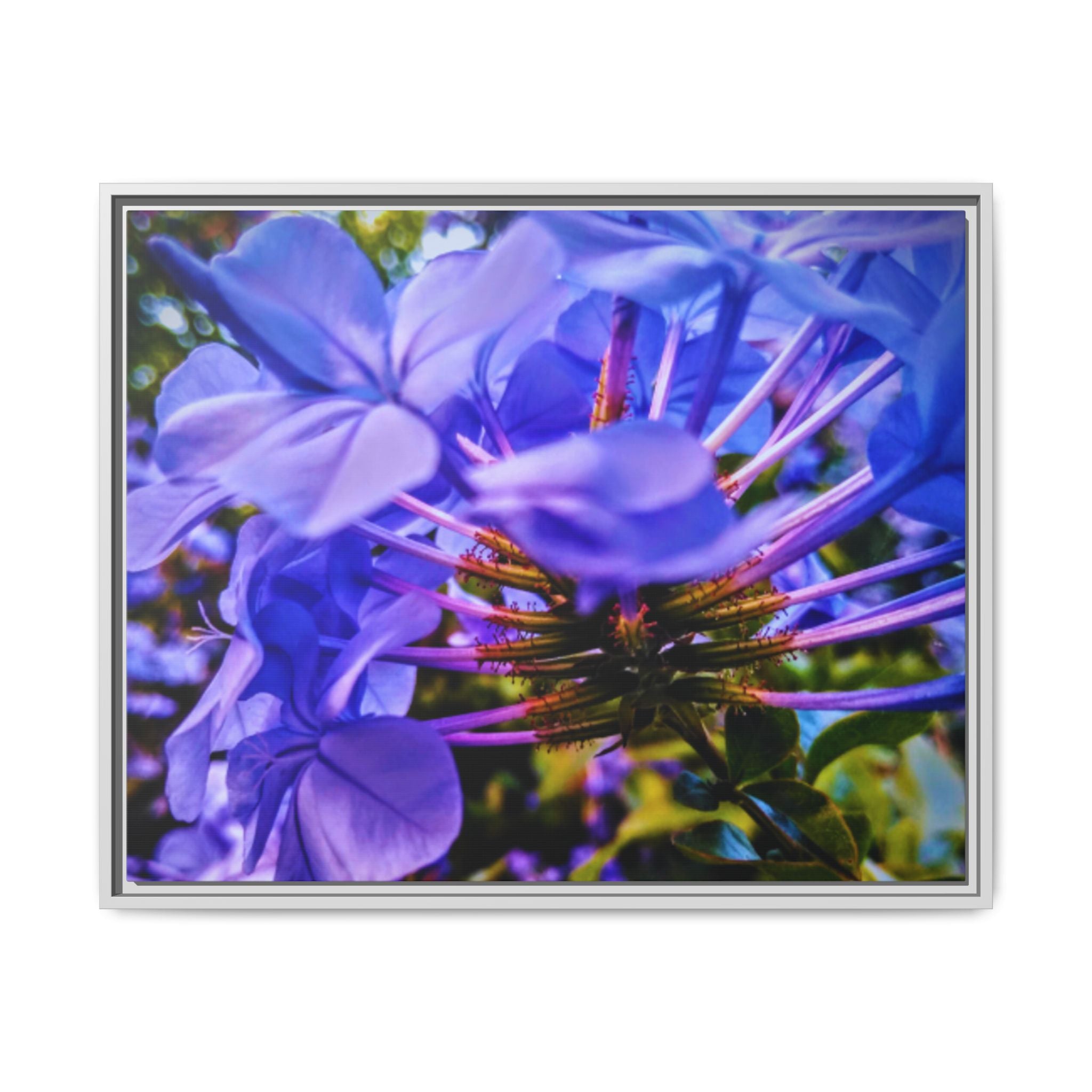 Blue Hydrangea Stem Matte Canvas Wall Art — Vibrant Close-Up Botanical Floral Print
