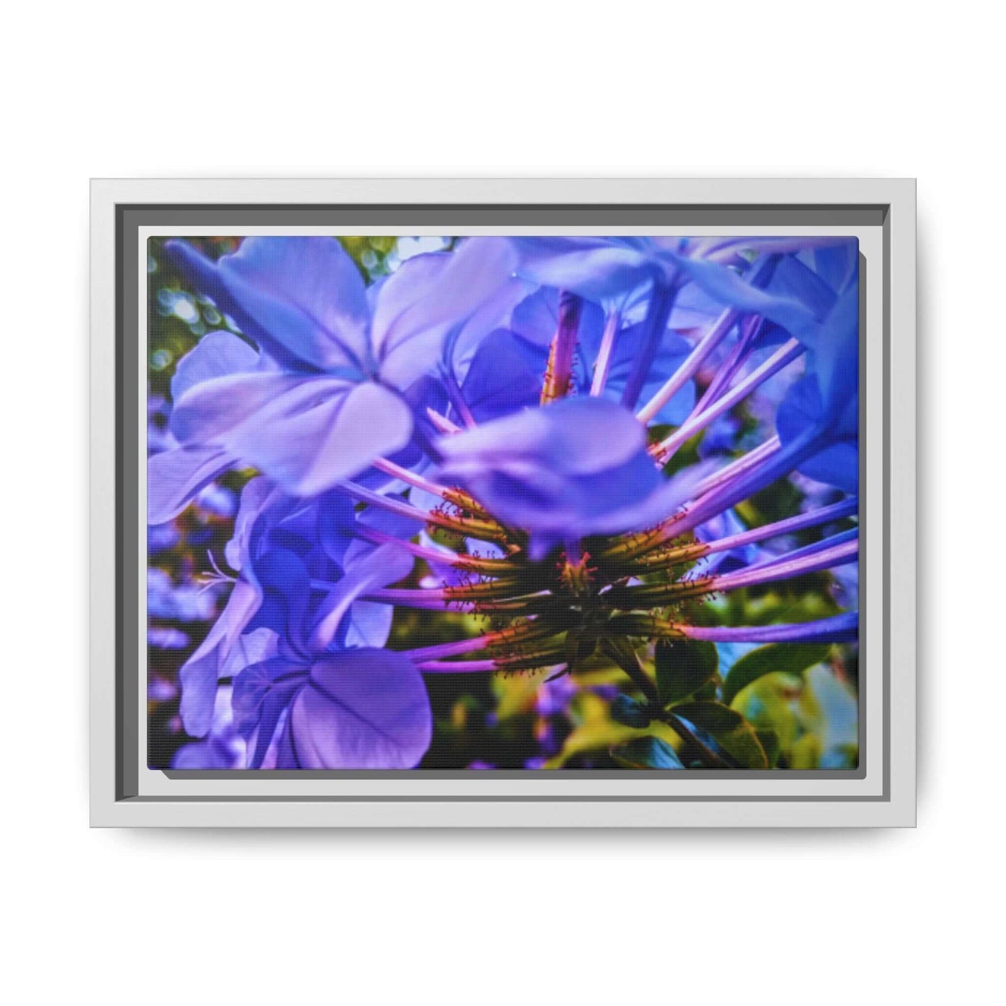 Blue Hydrangea Stem Matte Canvas Wall Art — Vibrant Close-Up Botanical Floral Print