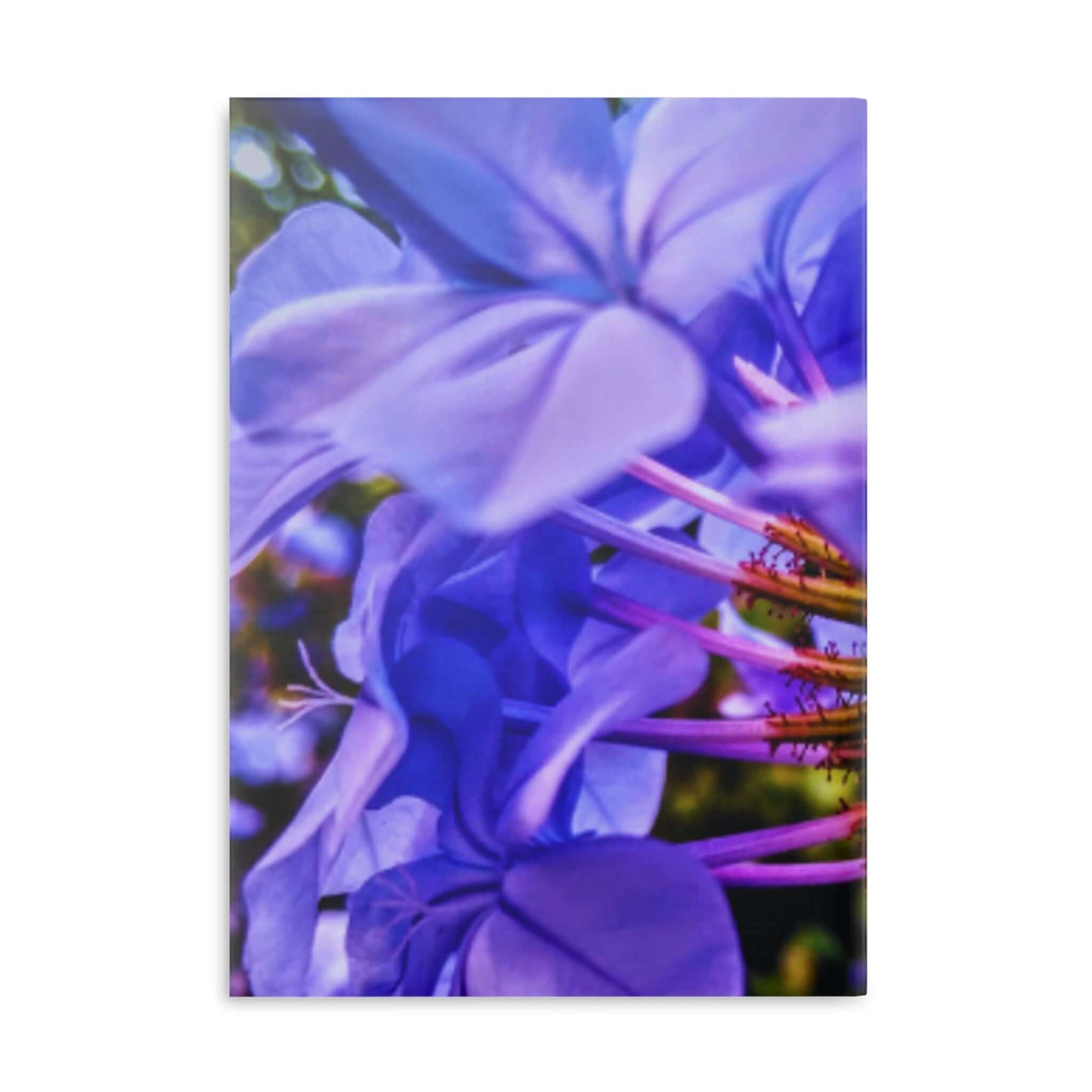 Blue Hydrangea Stem Puffy Hardcover Notebook