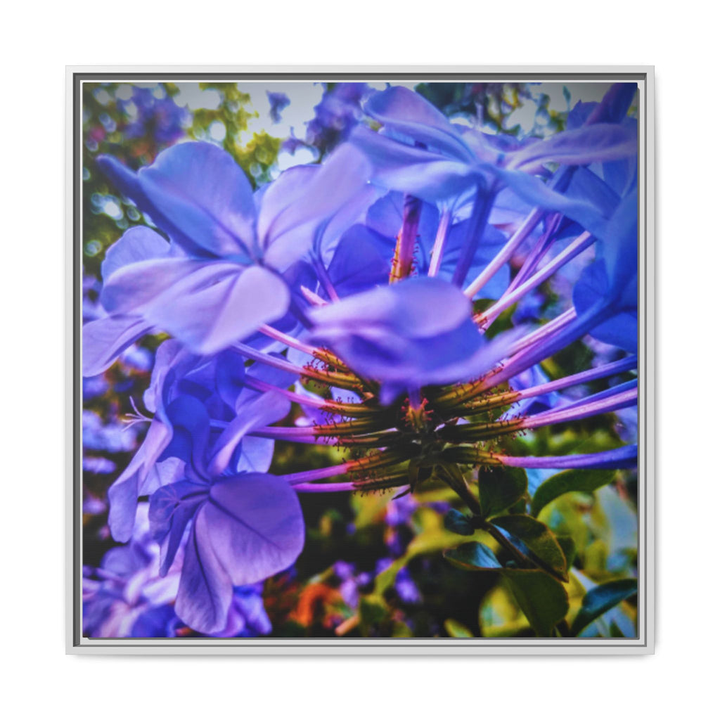Blue Hydrangea Stem Matte Canvas Wall Art — Vibrant Close-Up Botanical Floral Print