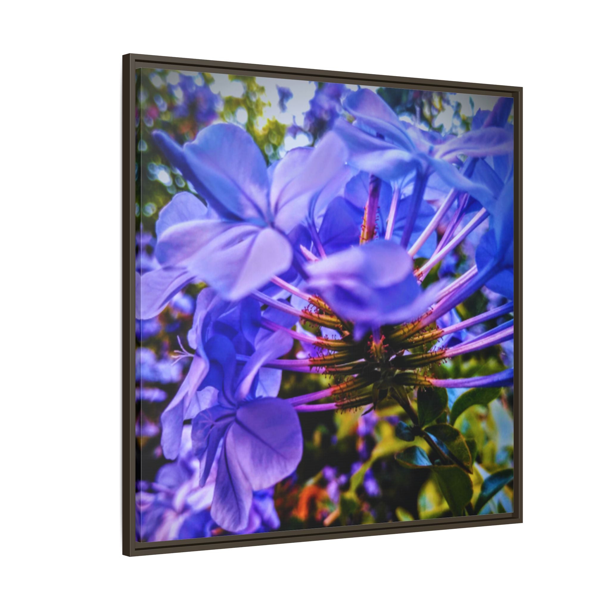 Blue Hydrangea Stem Matte Canvas Wall Art — Vibrant Close-Up Botanical Floral Print