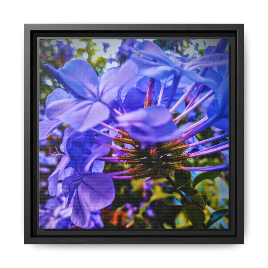 Blue Hydrangea Stem Matte Canvas Wall Art — Vibrant Close-Up Botanical Floral Print