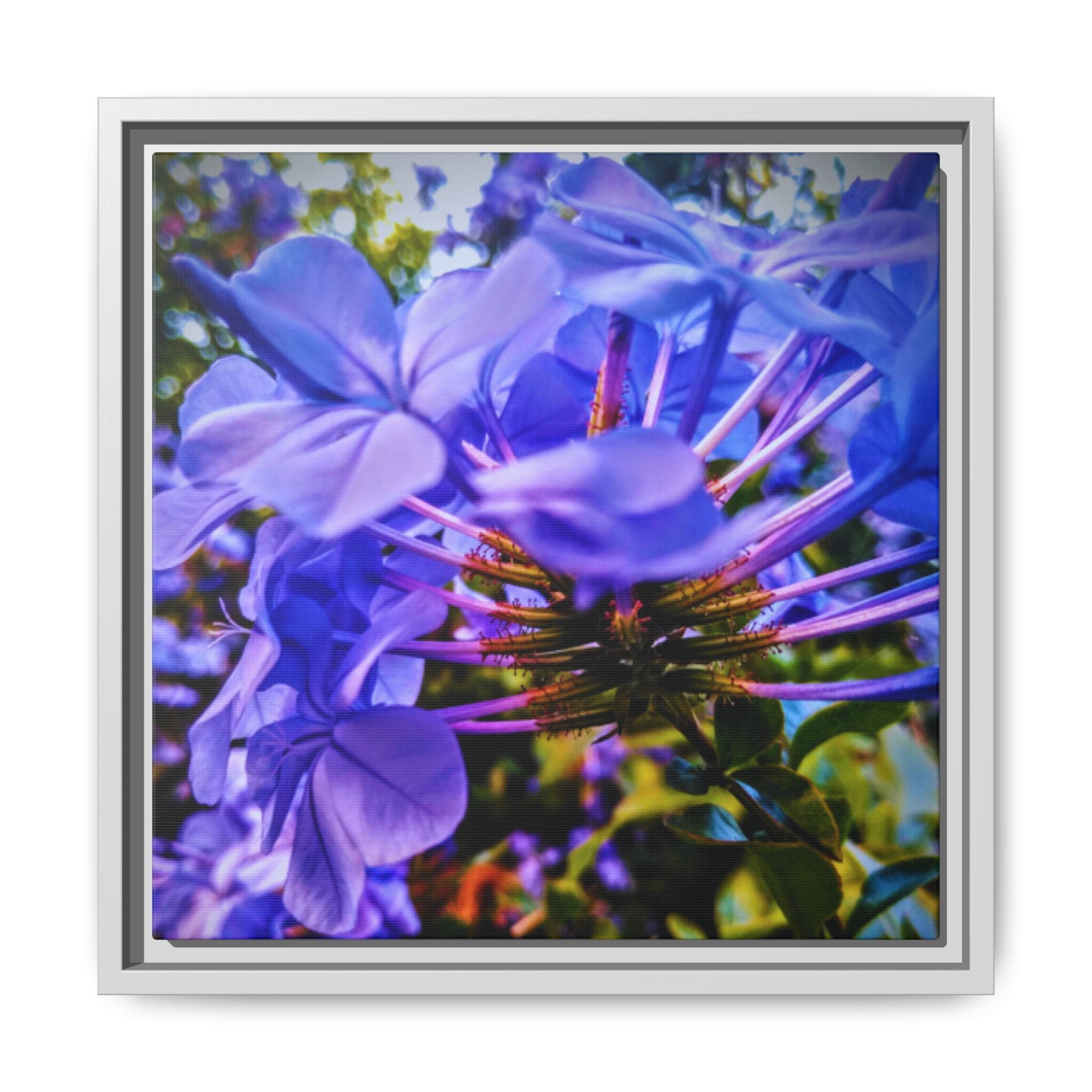 Blue Hydrangea Stem Matte Canvas Wall Art — Vibrant Close-Up Botanical Floral Print