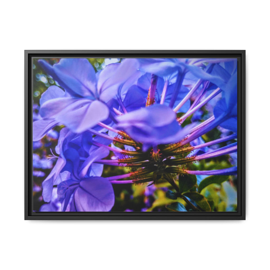 Blue Hydrangea Stem Matte Canvas Wall Art — Vibrant Close-Up Botanical Floral Print