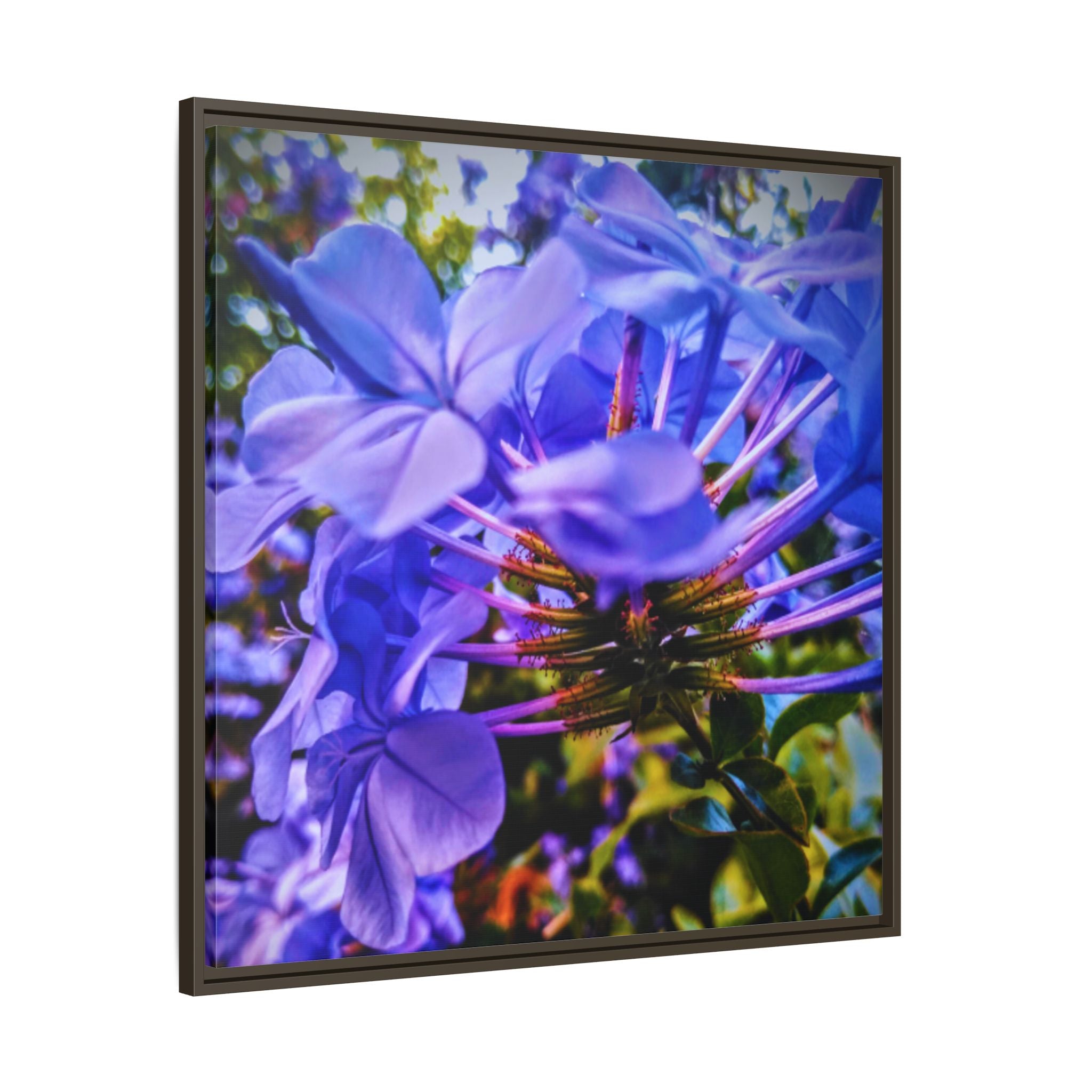 Blue Hydrangea Stem Matte Canvas Wall Art — Vibrant Close-Up Botanical Floral Print