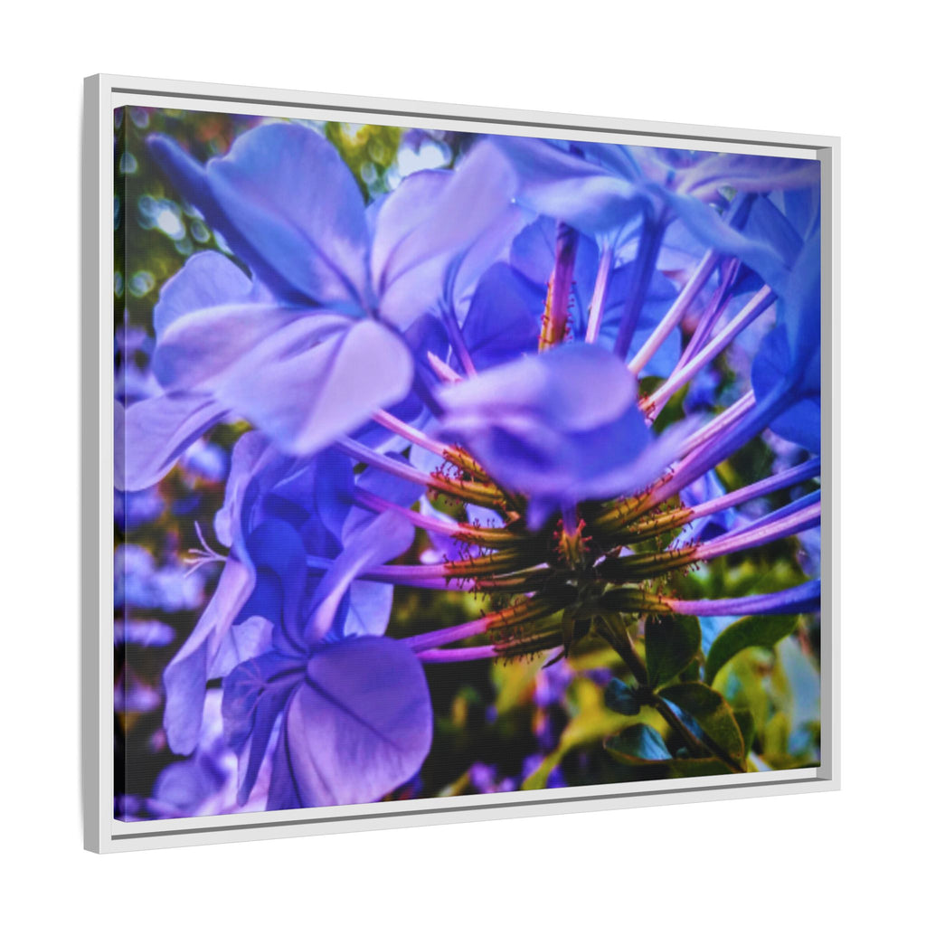 Blue Hydrangea Stem Matte Canvas Wall Art — Vibrant Close-Up Botanical Floral Print
