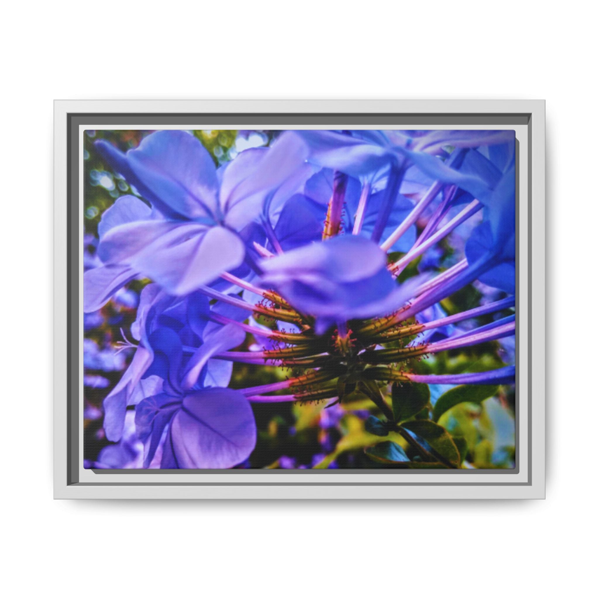Blue Hydrangea Stem Matte Canvas Wall Art — Vibrant Close-Up Botanical Floral Print
