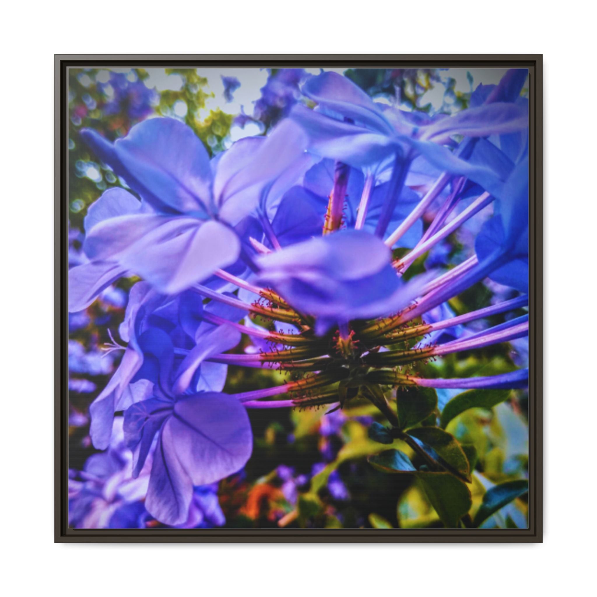 Blue Hydrangea Stem Matte Canvas Wall Art — Vibrant Close-Up Botanical Floral Print