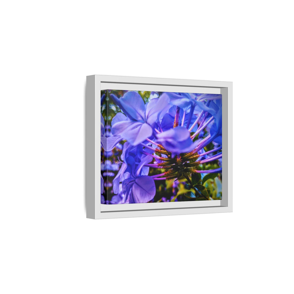 Blue Hydrangea Stem Matte Canvas Wall Art — Vibrant Close-Up Botanical Floral Print