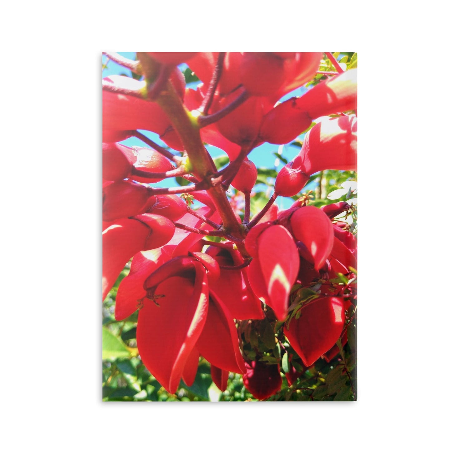 View details for Floral Hardcover Notebook — Tropical Red Blossom Puffy Cover Floral Hardcover Notebook — Tropical Red Blossom Puffy Cover