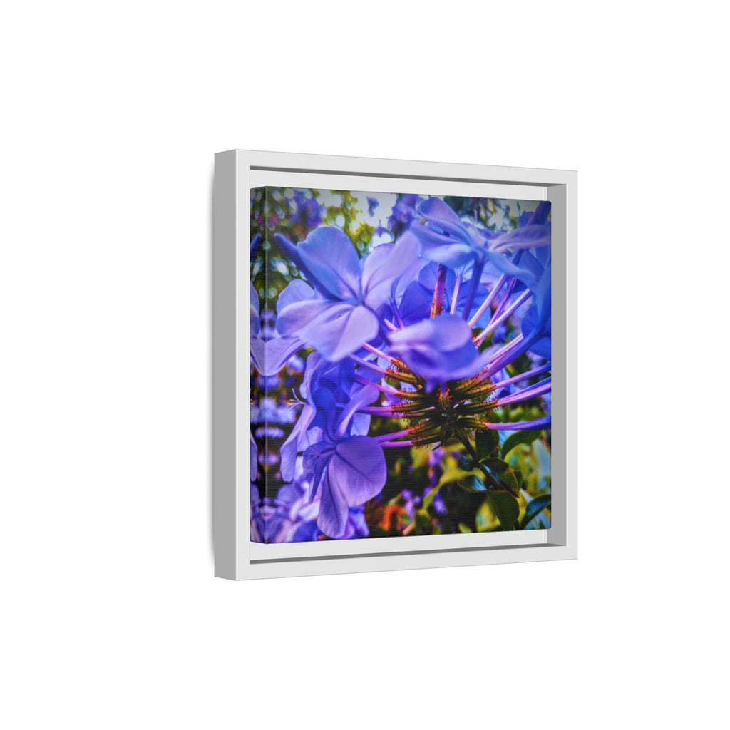 Blue Hydrangea Stem Matte Canvas Wall Art — Vibrant Close-Up Botanical Floral Print
