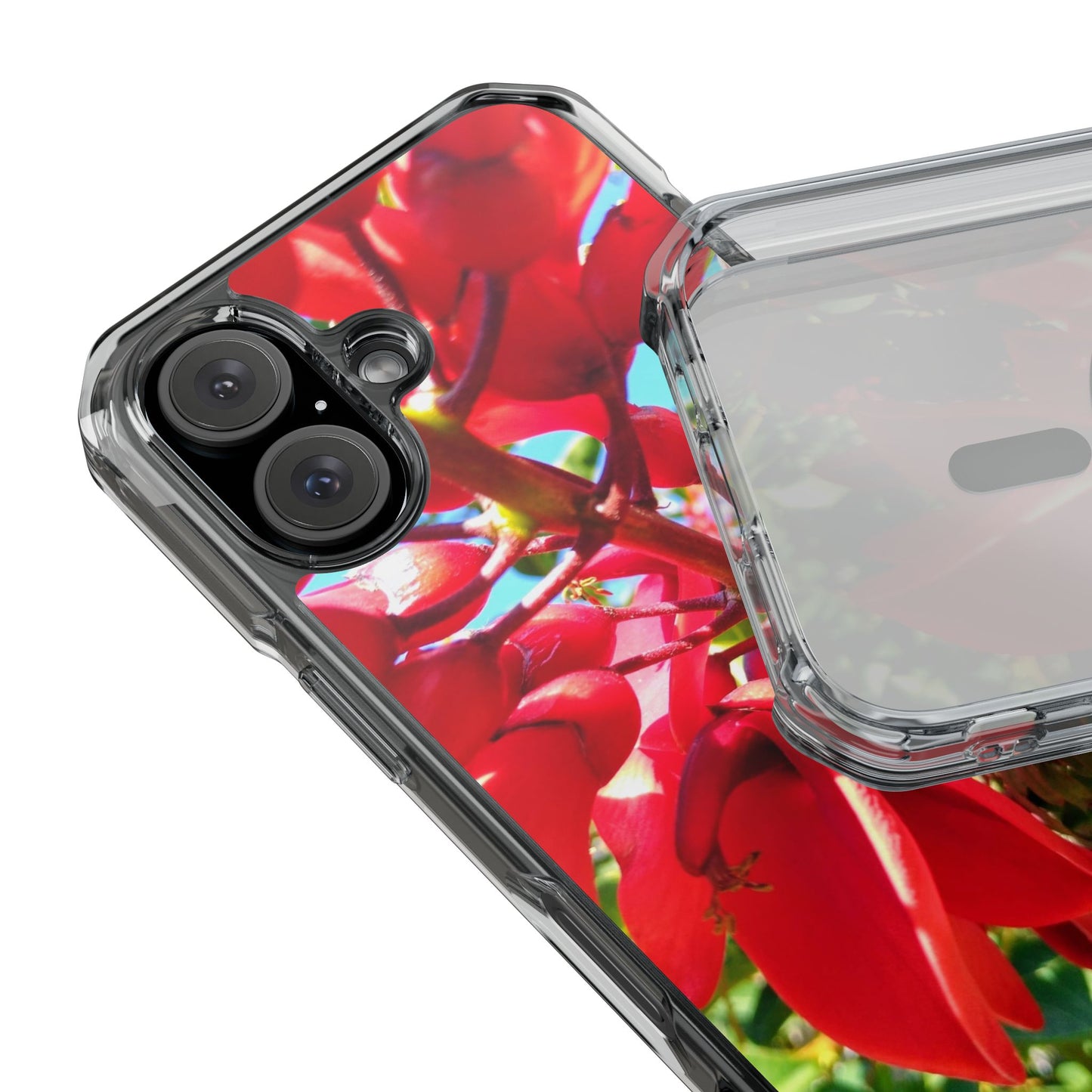 Red Cockspur Tree iPhone 16 Case | MagSafe Clear Magnetic Impact Cover