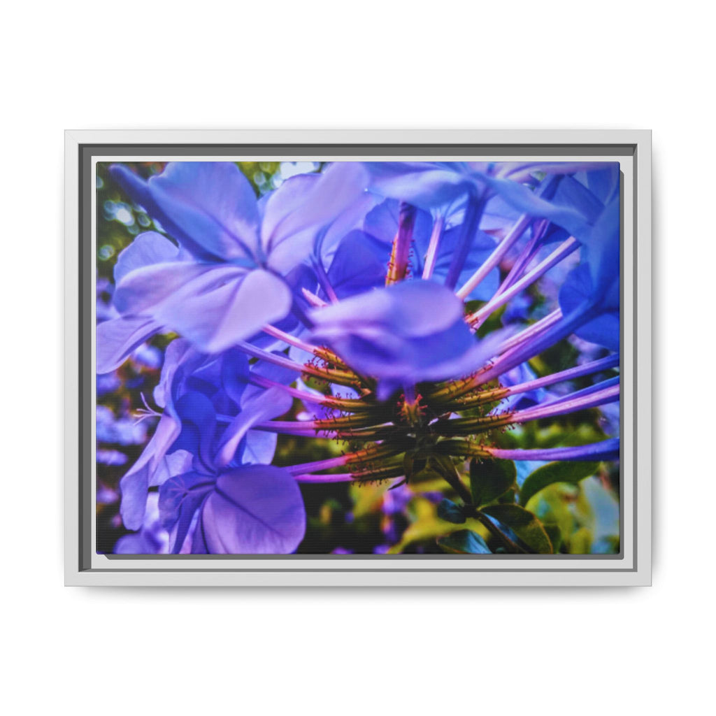 Blue Hydrangea Stem Matte Canvas Wall Art — Vibrant Close-Up Botanical Floral Print