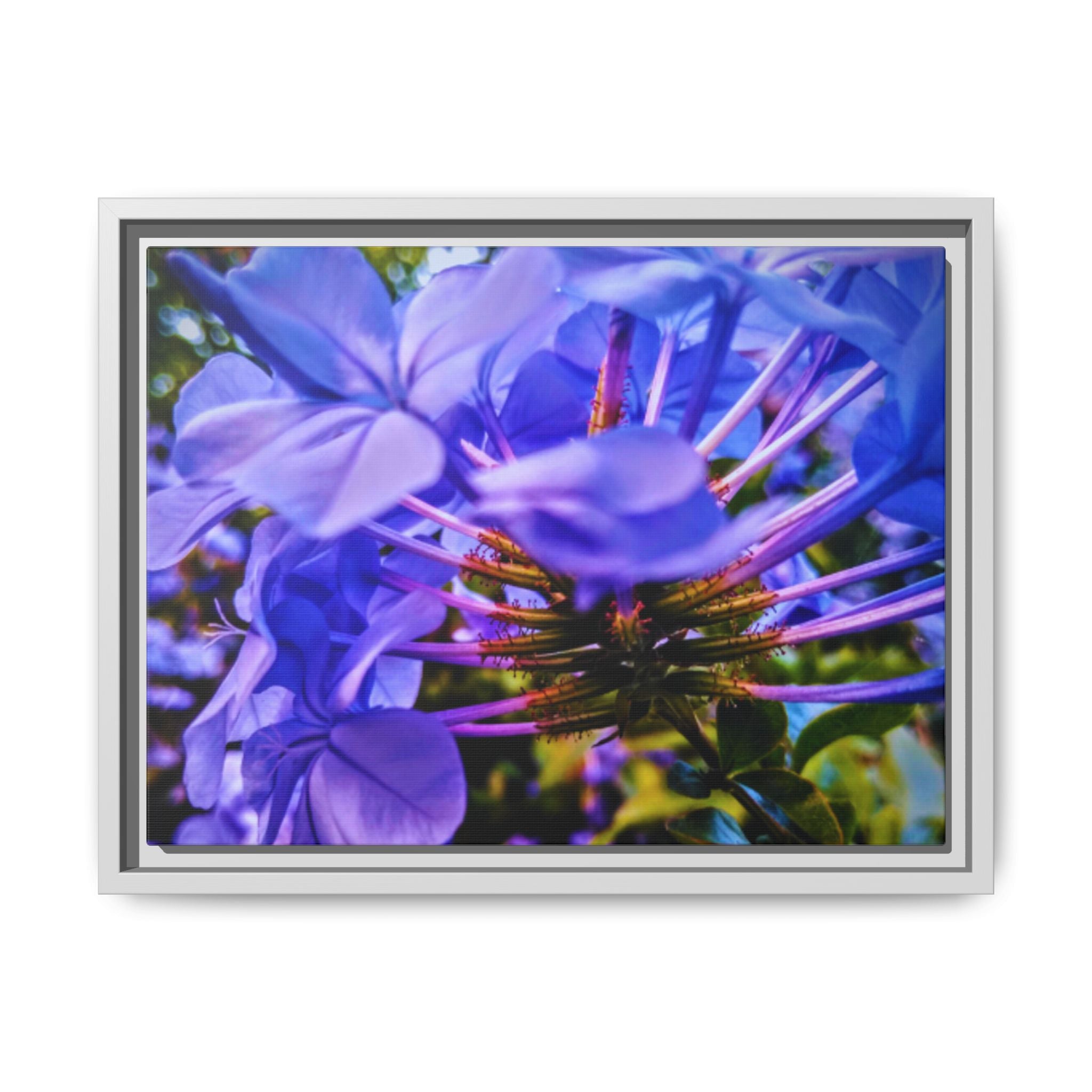 Blue Hydrangea Stem Matte Canvas Wall Art — Vibrant Close-Up Botanical Floral Print