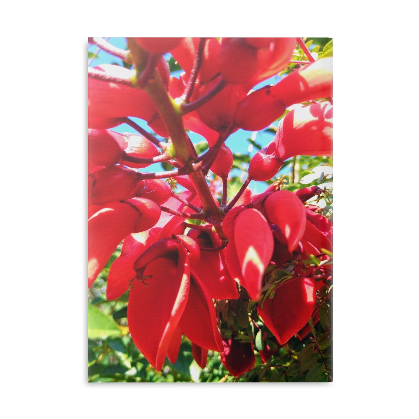 View details for Floral Hardcover Notebook — Tropical Red Blossom Puffy Cover Floral Hardcover Notebook — Tropical Red Blossom Puffy Cover