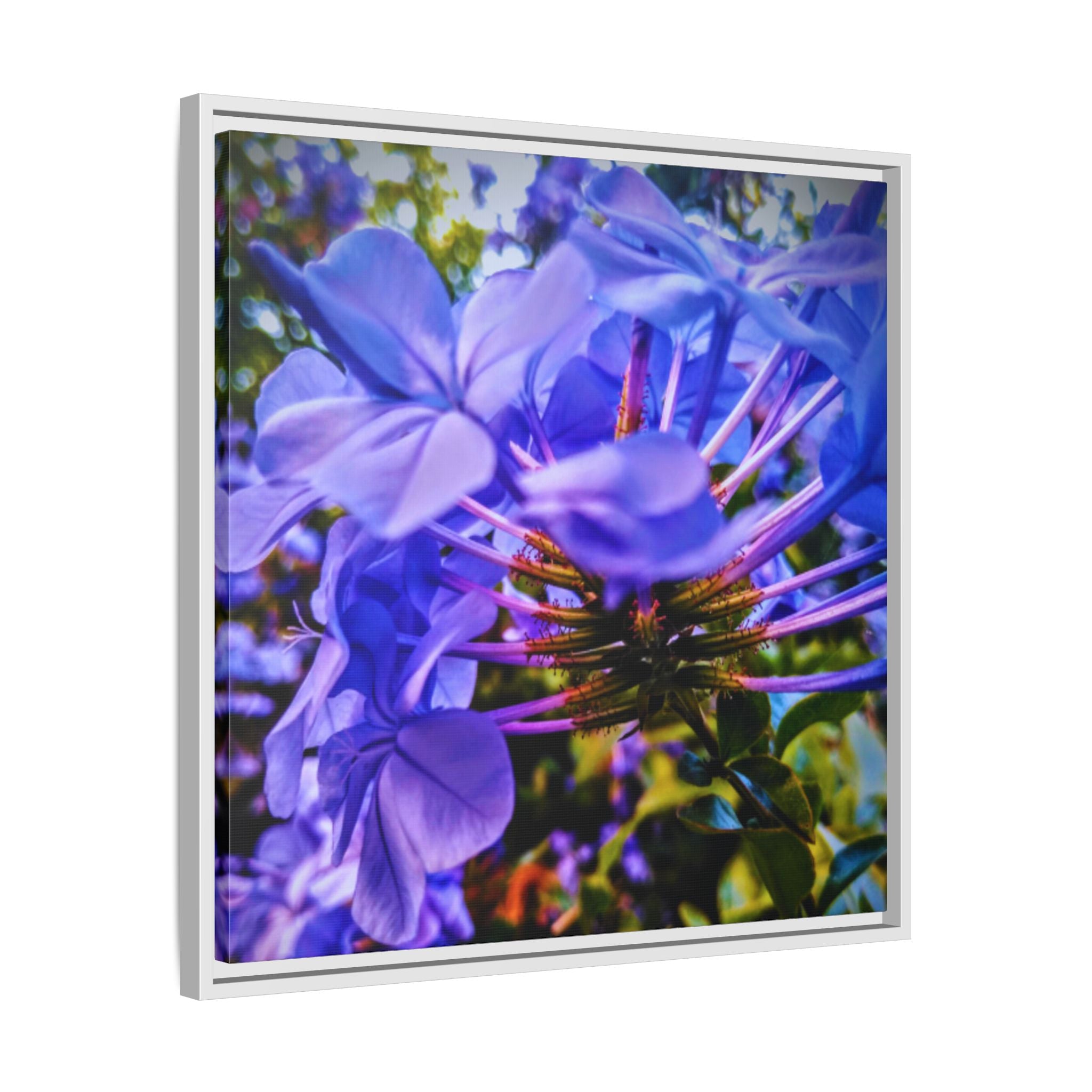 Blue Hydrangea Stem Matte Canvas Wall Art — Vibrant Close-Up Botanical Floral Print