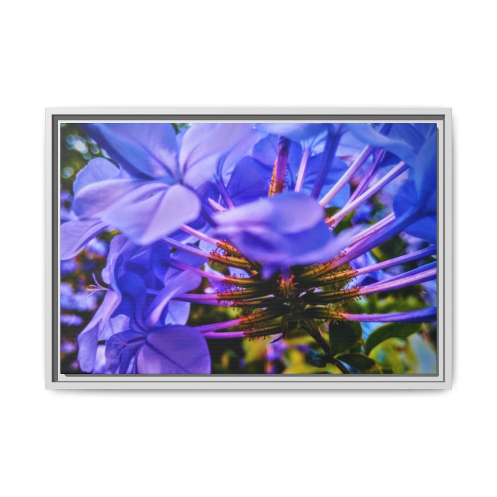 Blue Hydrangea Stem Matte Canvas Wall Art — Vibrant Close-Up Botanical Floral Print