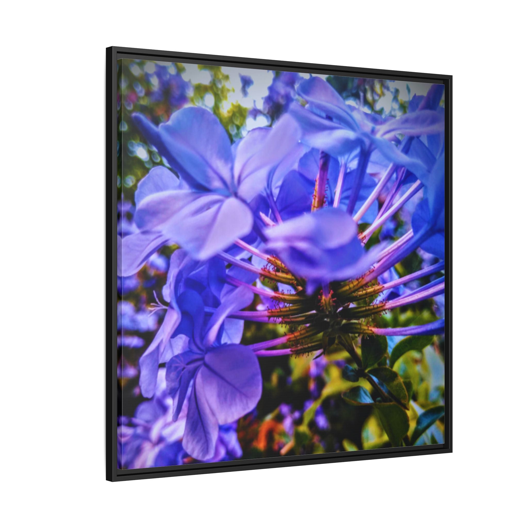 Blue Hydrangea Stem Matte Canvas Wall Art — Vibrant Close-Up Botanical Floral Print