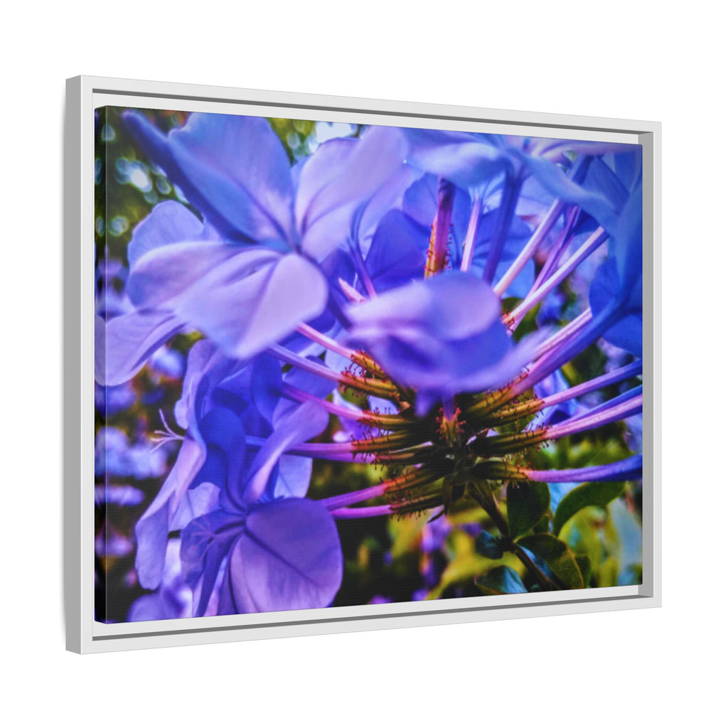 Blue Hydrangea Stem Matte Canvas Wall Art — Vibrant Close-Up Botanical Floral Print