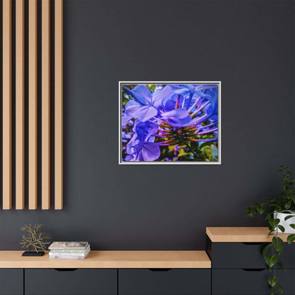 Blue Hydrangea Stem Canvas Wall Art