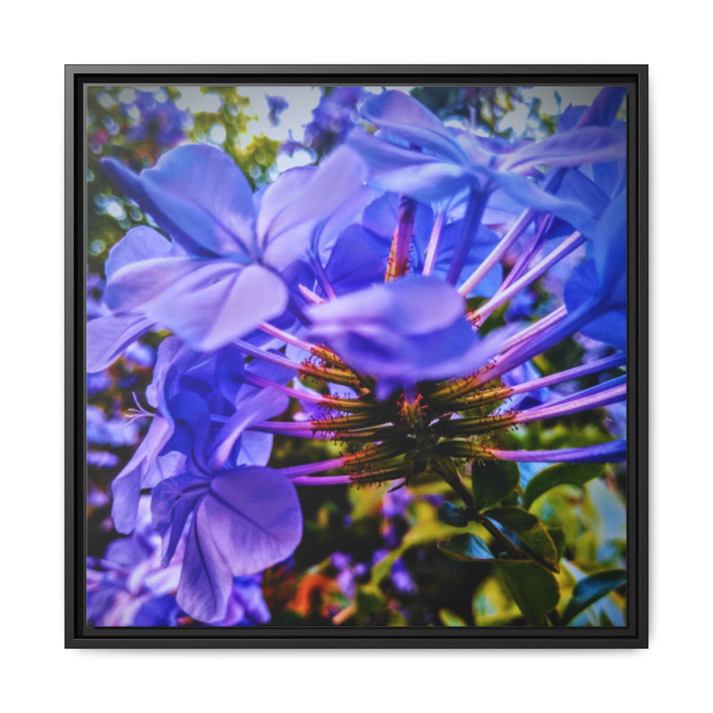 Blue Hydrangea Stem Matte Canvas Wall Art — Vibrant Close-Up Botanical Floral Print