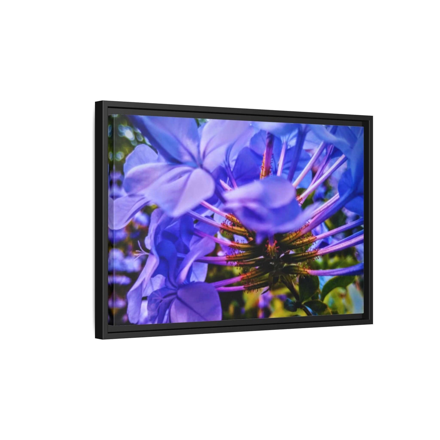 Blue Hydrangea Stem Canvas Wall Art