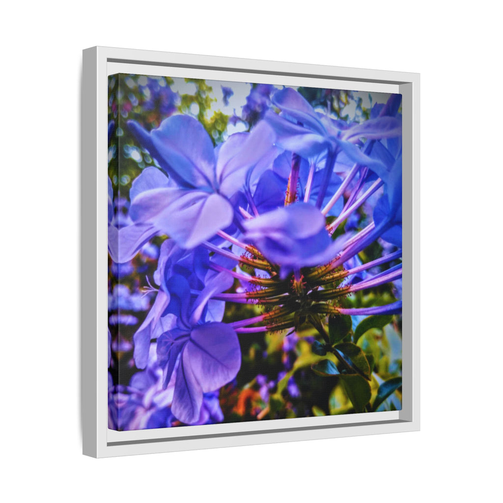 Blue Hydrangea Stem Matte Canvas Wall Art — Vibrant Close-Up Botanical Floral Print