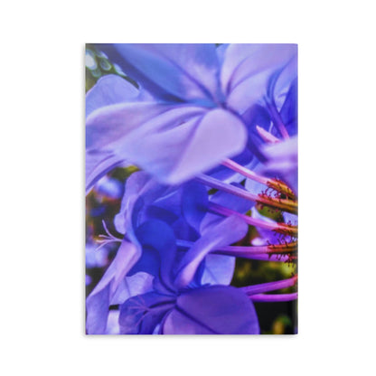 Blue Hydrangea Stem Puffy Hardcover Notebook