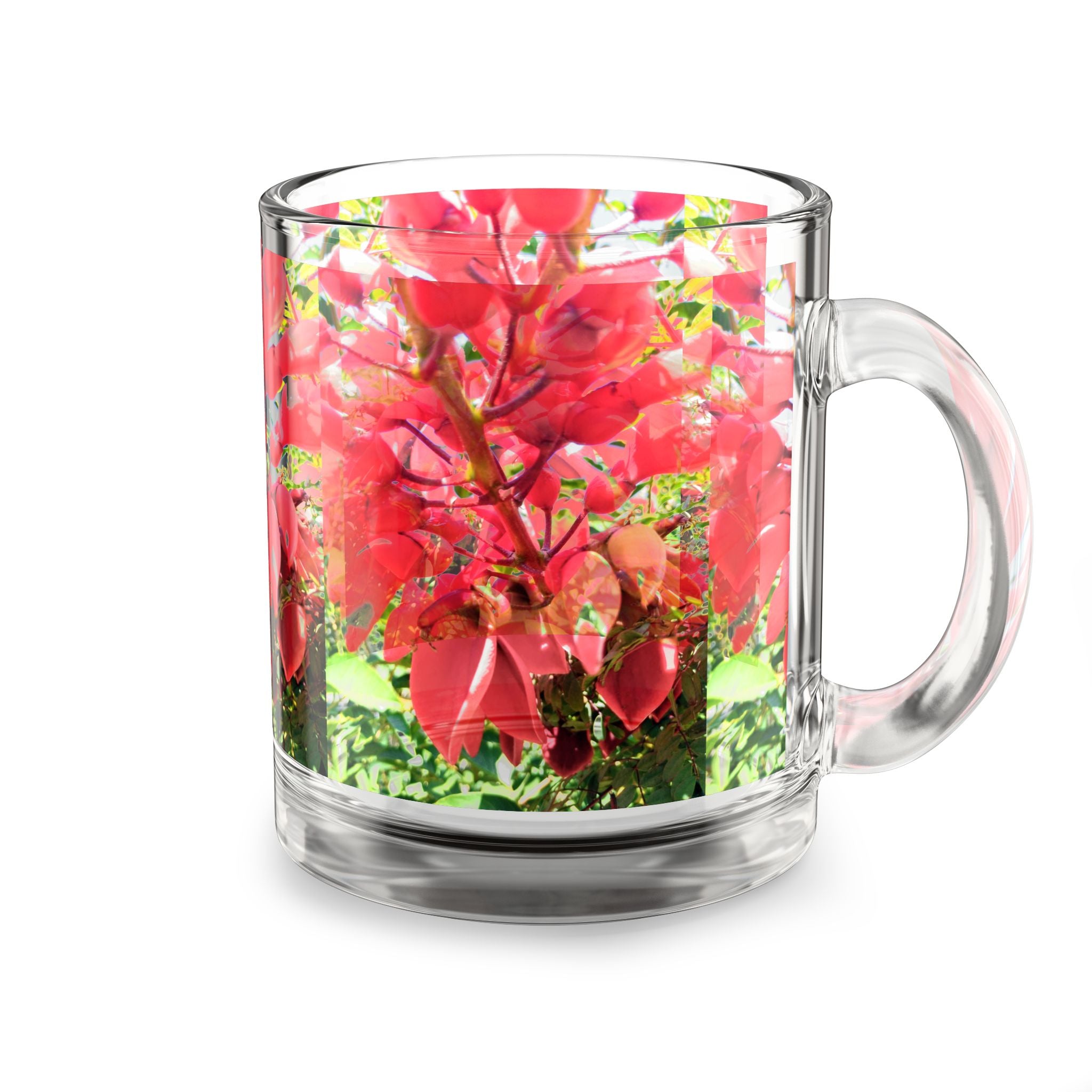 Red Cockspur Coral Tree Glass Mug — 10oz Botanical Coffee Cup