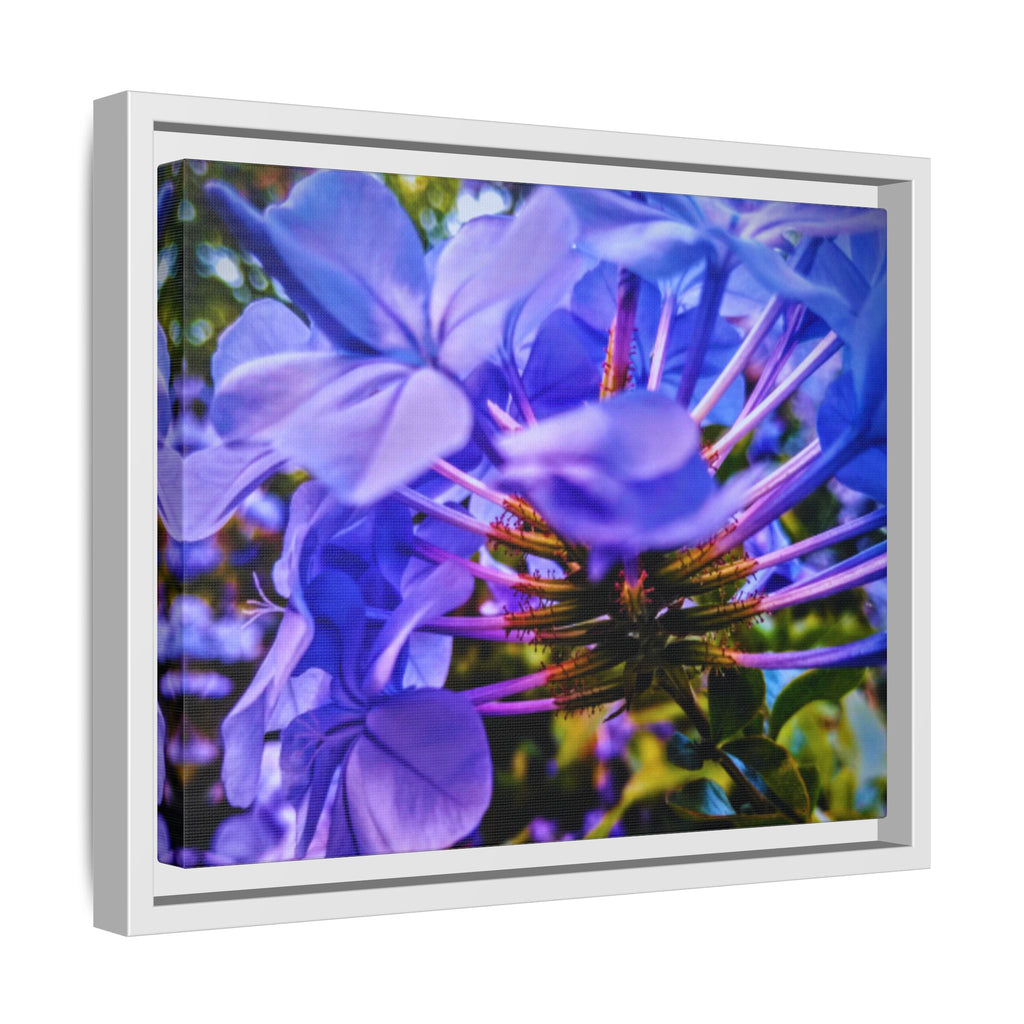 Blue Hydrangea Stem Matte Canvas Wall Art — Vibrant Close-Up Botanical Floral Print